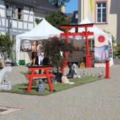 Faszination Japan Usingen 2016