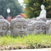 Faszination Japan 2017